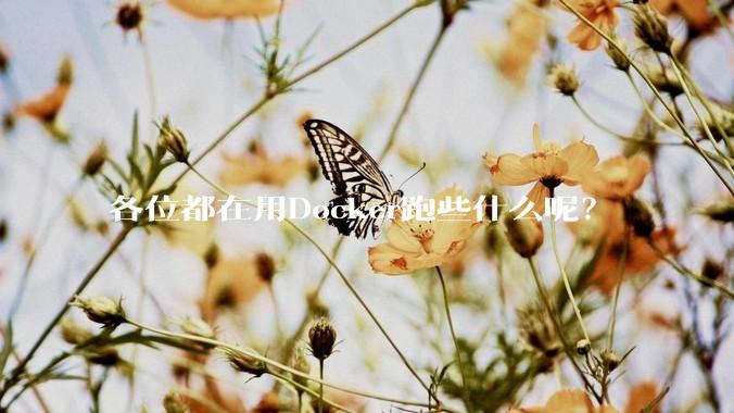 各位都在用Docker跑些什么呢？