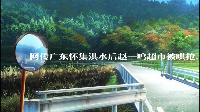 网传广东怀集洪水后赵一鸣超市被哄抢，县***回应相关单位正在核实，若属实哄抢者该承担哪些法律责任？