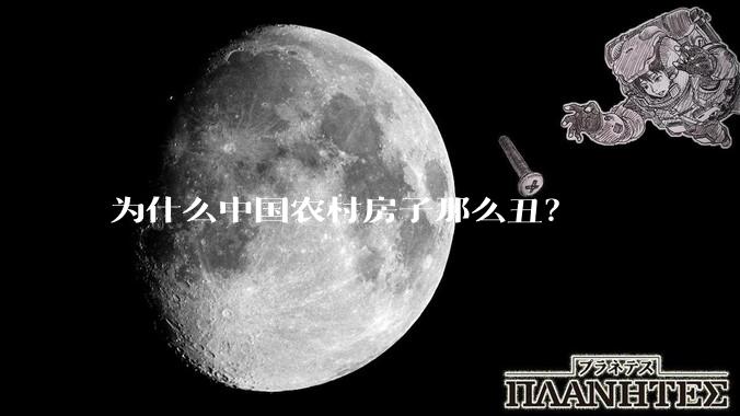 为什么中国农村房子那么丑？