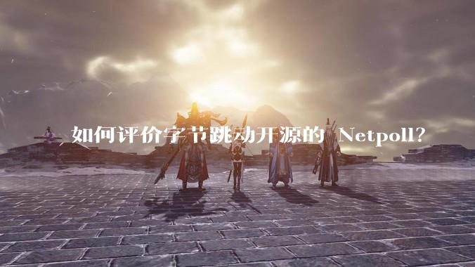 如何评价字节跳动开源的 Netpoll？