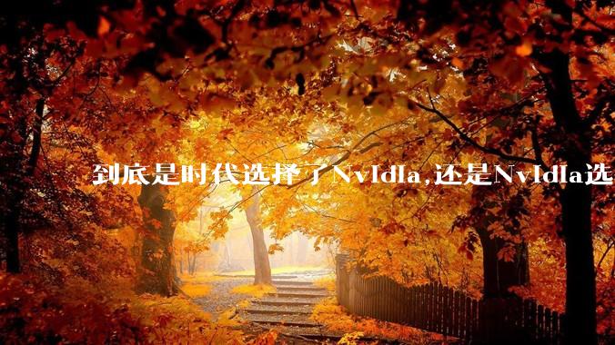 到底是时代选择了Nvidia,还是Nvidia选择了时代？