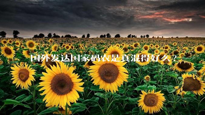 国外发达国家码农是真混得好么?