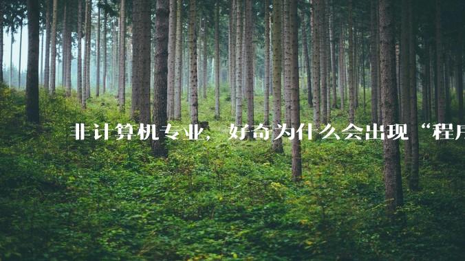 非计算机专业，好奇为什么会出现“程序依赖bug运行”的情况？